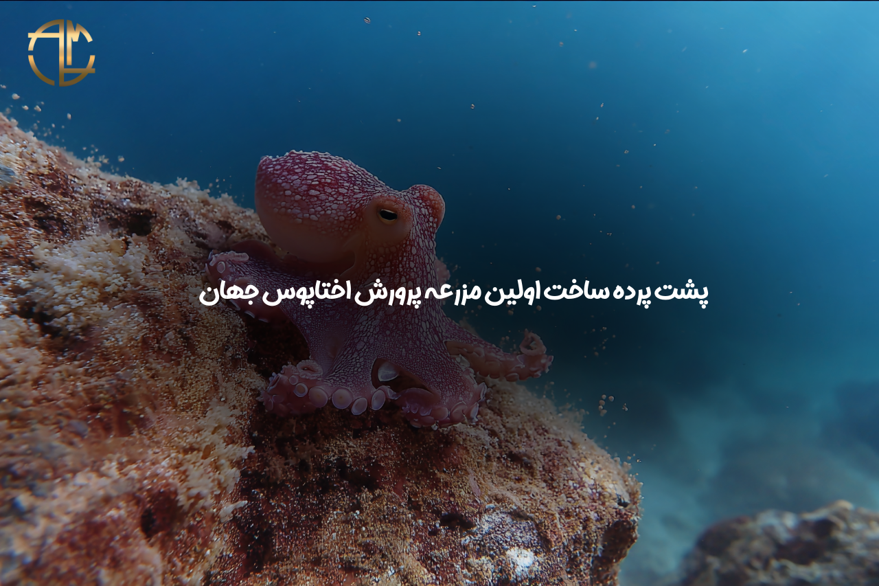 پرورش اختاپوس