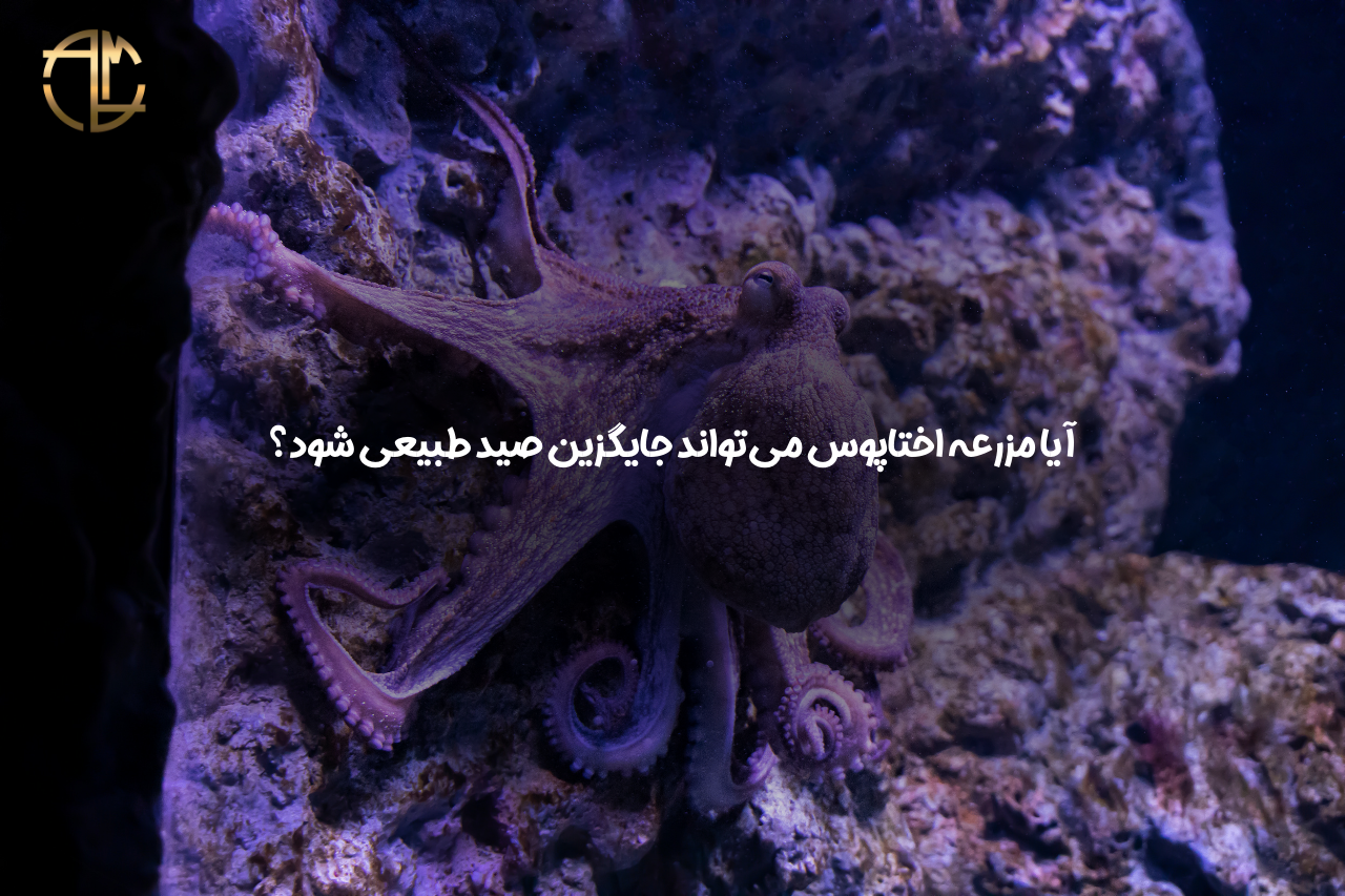 پرورش اختاپوس